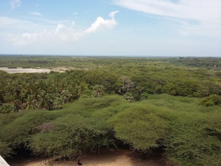 Gandamadana Parvatham-3